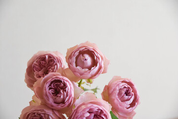 モーブティアラ