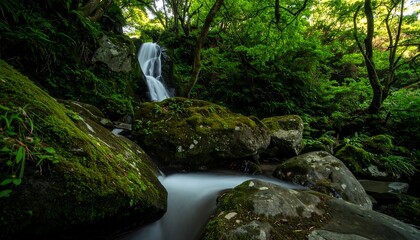 Lush waterfall cascading down mossy rocks in a dense forest