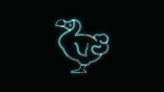  Dodo Animal Icon Neon Seamless Loop 4K with Black Background Animated Promotional Typography for Video Editing
