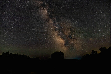 Fototapeta premium The Milky Way in the night sky