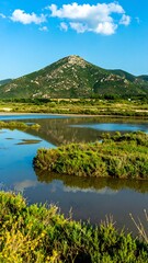 Picturesque marsh landscape with a mountain backdrop