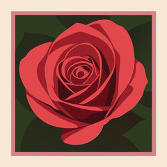 Vibrant Red Rose with Dark Leaves flower bloom