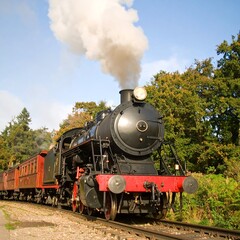 Obraz premium Vintage steam train locomotive, autumn landscape