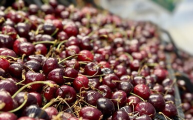 Red ripe cherries, which are used in abundance to make delicious seasonal delicacies and flavors. Bright cherries are beautifully stacked on top of each other, showing off their delicious juiciness