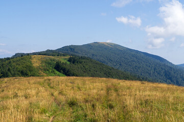 Fototapeta premium Seven-headed mountain range, Tuapse region, Russia.
