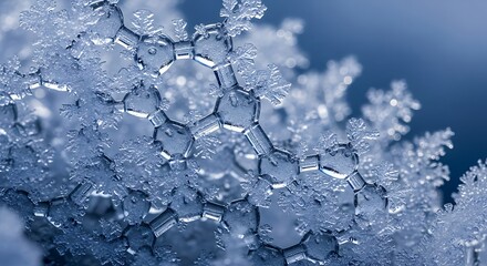 Delicate hexagonal ice crystals form a complex molecular lattice structure in a macro view.