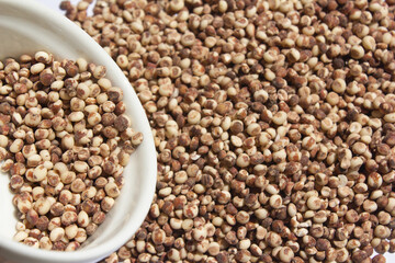 This is a close-up of sorghum.