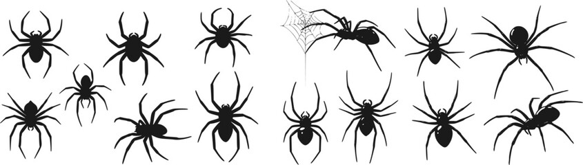 set of Spider vector illustration, collection of different spider types, isolated on white background. for web design, educational projects, Halloween decorations, or any other creative use, arachnids