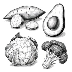 Set of Vegetables in Ink Style