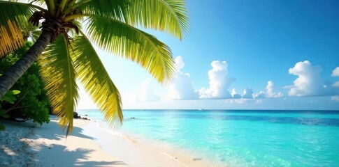 Palm fronds reaching sky, vibrant Maldives setting , nature, travel, photo