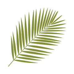 Green plant foliage including isolated palm and fern leaves on a white background