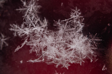 Snowflakes delicately resting on a surface, showcasing intricate patterns and textures, embodying the beauty of winter and the magic of frozen details