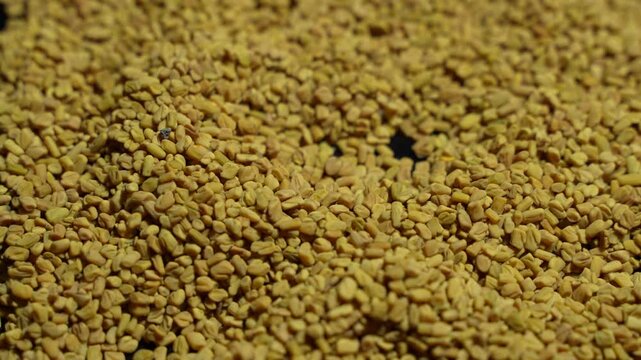 Fenugreek is a beneficial food for diabetes.