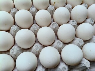 Close up sot of Eggs in a carton.