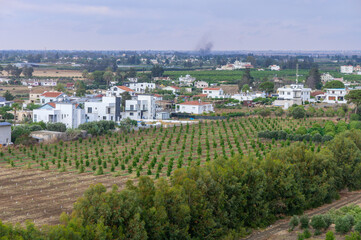 View from Rooftop Over Garden and Cyprus Village