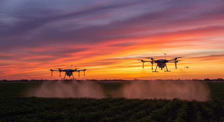 Fototapeta premium Modern farming with drones spraying crops at sunset offers efficient agriculture solutions