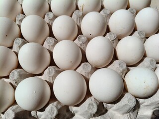 Close up sot of Eggs in a carton.