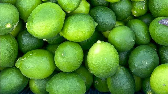 close-up of green lemons lined up on a leaf catch the farms. Natural fresh lime and lime cut in half. Fresh ripe green limes as background.Top view of Fresh lemon lime texture background.