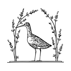 Vector card with hand drawn cute shorebird in graceful floral arch. Beautiful animal design elements, ink drawing, logo template
