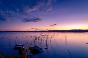 Tranquil Twilight Over Swedish Lake with Silhouetted Reeds