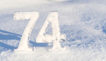 Numbers 74 in snow
