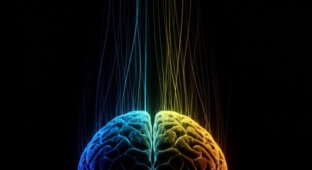 Artificial Intelligence, Cybersecurity, Cloud Services, Smartphones and Neural Networks Collection