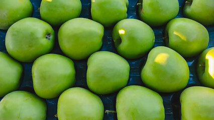 close-up of Ripe Red and green Apples Hanging On Branches In the field, Fresh ripe apple as background, top view Autumn day. Rural garden. In the frame ripe red apples on a tree.