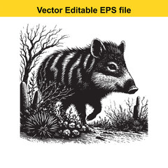 Peccary in the desert with cactus and dry vegetation, vector illustration