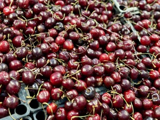 Red ripe cherries, which are used in abundance to make delicious seasonal delicacies and flavors. Bright cherries are beautifully stacked on top of each other, showing off their delicious juiciness