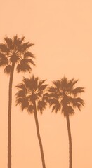 Obraz premium Silhouetted palm trees against a warm, peach-colored sky, creating a tropical and serene atmosphere.