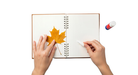 Creative hands crafting an autumn maple leaf collage in a blank notebook with chalk, perfect for fall DIY tutorials, Thanksgiving craft ideas, school projects, nature journaling,