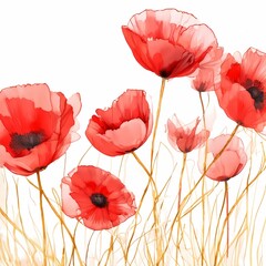 Vibrant Poppy Flower Illustration