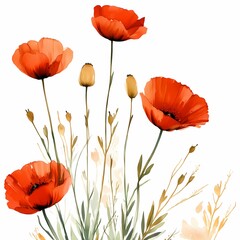 Vibrant Poppy Flower Illustration