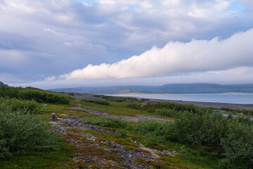Russia, Murmansk region, Rybachy Peninsula and the Barents Sea. August 2025