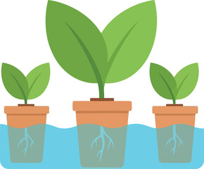 Hydroponic plants growing in water pots modern eco-friendly agriculture technology concept vector