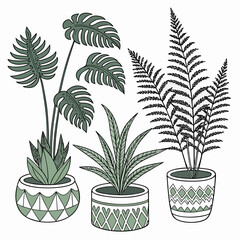 Collection of stylized potted houseplants including monstera and fern with decorative geometric patterned pots