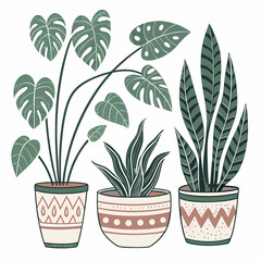 Collection of three potted houseplants including a monstera and snake plant in decorative pots