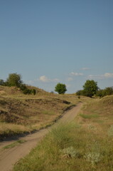 Obraz premium road in the field