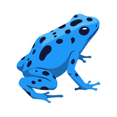 poison dart frog on white background