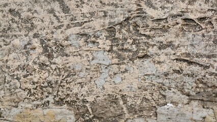 floor cement texture with irregular gray cement background materials for 3D max rendering software