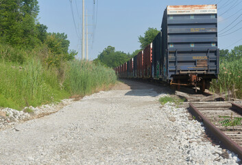Train Freight Cars