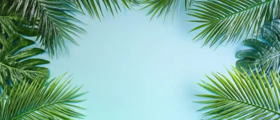 Fototapete Krankenhaus The tranquil arrangement of palm leaves framing a soothing blue background.  © Daria 