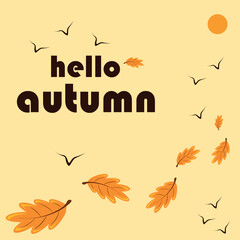 vector illustration of autumn leaves with the words "hello autumn"