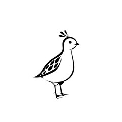 Obraz premium quail. quail simple black and white line art vector logo