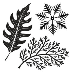 A striking black silhouette of a large tropical leaf is juxtaposed with a delicate snowflake and a sprig of fern on a clean white background