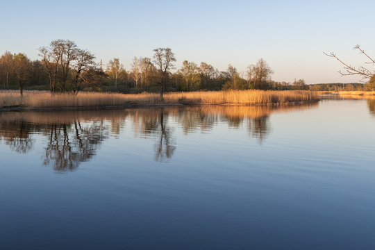 A scenic spring landscape showing dry golden reeds and trees reflecting in calm river water under a soft pastel evening sky at sunset.