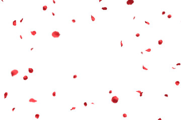 Fluttering Red Rose Petals frame
