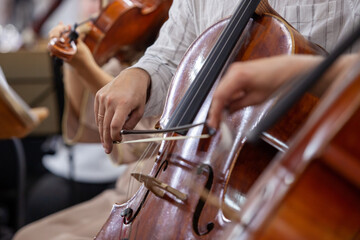 Hand of a musician playing the cello in an orchestra