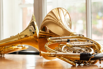  French horns lying against a window
