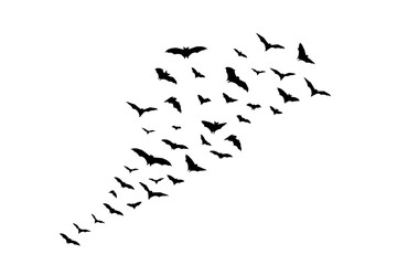 Halloween Bats  Silhouette Swarm Design